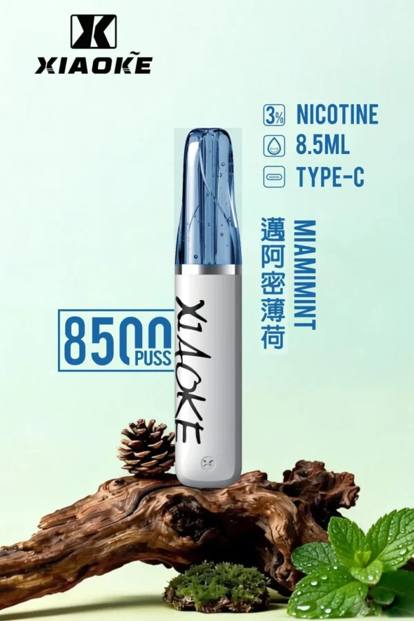 27763104a941bdf31156bc0c11499293-1024x1536.jpg.webp XIAOKE 梟客8500口拋棄式電子煙 8.5ml儲油量 3%尼古丁鹽 支援Type-C充電 台灣現貨秒發
