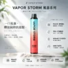 VAPOR STORM 風暴 5000口 高性能大容量拋棄式煙桿 結合網綿芯霧化與充電補電設計 打造頂級體驗