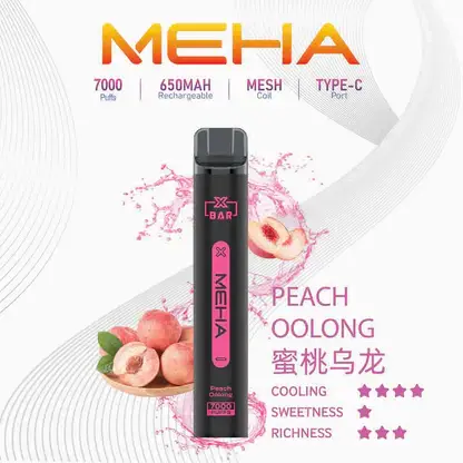魅嗨 MEHA XBAR 小黑條 7000口 採用 Mesh 網綿芯霧化技術 與 Type-C 快充 打造極強冰感細膩口感