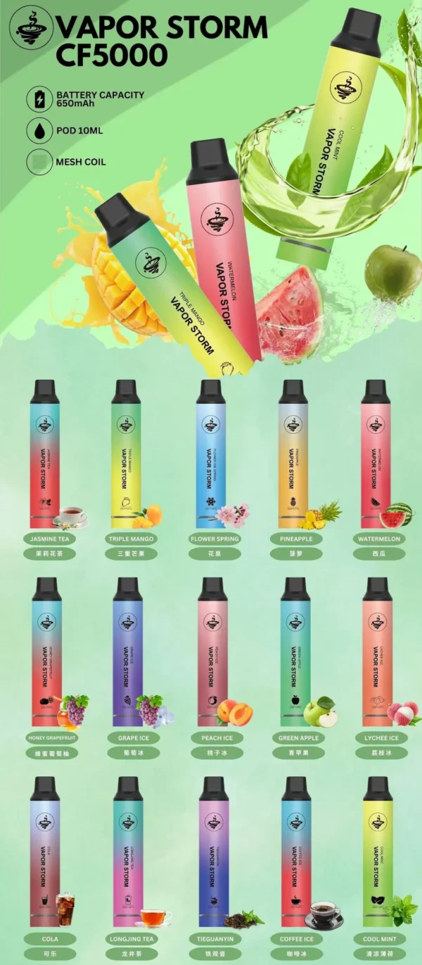 VAPOR STORM 風暴 5000口 高性能大容量拋棄式煙桿 結合網綿芯霧化與充電補電設計 打造頂級體驗