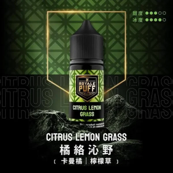Royale Puff 注油煙油 獨家霧化鎖味技術 七款豐富調香 30mg 順暢擊喉 台灣現貨秒發