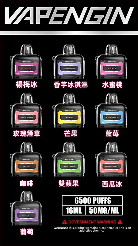 含主機加煙彈套裝 VAPENGIN JUPITER木星 6500口拋棄式電子煙 650mAh長效續航 台灣現貨